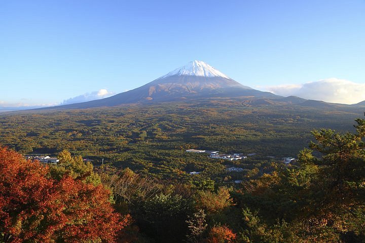 Aokigahara aos pés do Monte Fuji