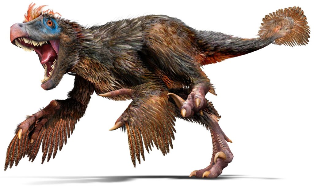 Velociraptor_u4hjbq