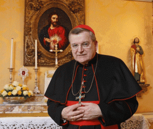 Card-Burke-3.5.15-300x254 Burke, um Papa conservador?